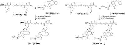 Developing an Injectable Nanofibrous Extracellular Matrix Hydrogel With an Integrin αvβ3 Ligand to Improve Endothelial Cell Survival, Engraftment and Vascularization